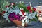 Container garden beautiful annual flowers summer decoration