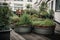 container garden with herbs and vegetables, in the urban setting