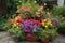 container garden overflowing with vibrant blooms