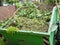 Container with green waste recycling yard