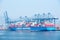 Container ship `Cosco Shipping Aquarius` berthed under gantry cranes in port of Yantian.