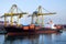 Container Ship Gantry Cranes Load Cargo