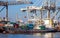 Container ship loaded by gantry cranes in the Port of Rotterdam. The Netherlands - September 8, 2012