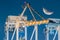 Container Ships Being Unloaded At Night.