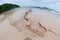 Containment Boom and absorbent paperon the sand beach that covered with Crude Oil on oil spill accident on Ao Prao Beach at Samet.