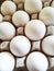 It contains white chicken egg trays. Eggs contain a lot of protein which is very beneficial for the human body