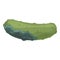 Contaminated cucumber icon cartoon vector. Food bacteria