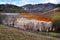 Contaminated lake full with mining residuals in Rosia Mont