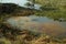 Contaminated lake outside the city with floating tires and algae