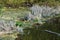 Contaminated water and a pile of smelly and toxic residues. Ecological disaster - the river carries plastic debris abandoned by