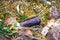 Contamination of the environment by humans. Glass bottle thrown on the garbage on the meadow