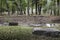 Contemplation pond in Ozark Mountains of Arkansas