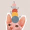 Contemporarty art collage of sphinx cat with Christmas tree decorations waiting for holidays. Christmas and New Year