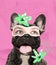 Contemporary art collage. Cheerful muzzle of French Bulldog with female eyes element isolated over pink background