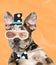 Contemporary art collage. French Bulldog muzzle with male eyes element isolated over orange background