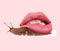 Contemporary art collage. Inspiration, idea, trendy urban magazine style. Composition with big snail carring female lips