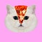 Contemporary art collage. Minimal concept. Pizza and cat