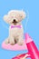 Contemporary art collage. Small white dog with a pink bow tie sits regally on a plush pink pillow and groomer dries his