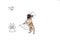 Contemporary artwork. One cute funny dog like magician isolated on white studio background with drawings.