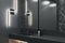 Contemporary black bathroom interior with washbasin and mirrors.