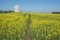 Contemporary chapel in a colza field