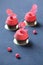 Contemporary Chocolate Raspberry Mousse Cakes