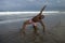 Contemporary dance choreographer and dancer doing ballet beach workout . a young attractive and athletic black African American