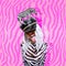 Contemporary digital funky minimal collage poster. Stylish emotional party zebra Lady. Trendy animal print. Back in 90s. Pop art