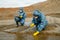 Contemporary ecologists in protective coveralls studying characteristics of polluted water