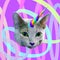 Contemporary fun art collage. Minimal concept. Dream lover. Cat unicorn stuff