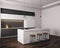 Contemporary light kitchen interior