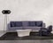 Contemporary living room with purple sofa