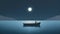 Contemporary Minimalism: Nancy Rowing In Moonlight