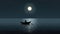 Contemporary Minimalism: Nancy Rowing In Moonlight, James Terrell Style