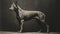 Contemporary Modernist Photography: The Dog By Karl Blossfeldt