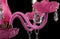 Contemporary pink glass chandelier isolated on black background. close-up chandelier.