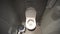 Contemporary public bathroom interior inside stall with clean bowl, wall mounted toilets, trash dispenser and