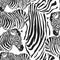 Contemporary zebra seamless patter. Black and White Fabric Pattern Design. Illustration of seamless zebra pattern