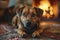 A contented dog peacefully lies on the soft carpet near a warmly crackling fireplace in the cozy living room