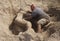 Contest winner Gary Feliciano creates sand sculpture on the Coney Island Beach during the 27th Annual Coney Island Sand Sculpting