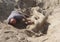 Contest winner Gary Feliciano creates sand sculpture on the Coney Island Beach during the 27th Annual Coney Island Sand Sculpting