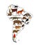 Continent map Southern America vector contour illustration with wild animals. Travel destination for tourist.