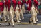 Continental Army Flute Band Memorial Day Parade Washington DC