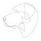 Continuous line Anatolian Shepherd. Single line minimal style dog vector illustration. Portrait