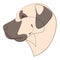 Continuous line Anatolian Shepherd. Single line minimalist style dog vector illustration. Portrait
