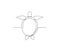 Continuous line art drawing of turtle. Minimalist black outline art sea turtle isolated on white background