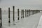 Continuous Line of Dock Piles in Frozen Water