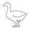 Continuous line drawing of adorable duck for company business logo identity. Little cute swan mascot concept for public park.
