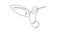 Continuous line drawing of beautiful colibri birg flying