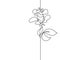 Continuous line drawing of beautiful flower